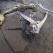Pompei, 5 scheletri rifugiati in una stanza: trovati nella Casa dell'Iscrizione che ha cambiato la storia05