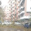 Allerta meteo Roma, decine di alberi caduti13