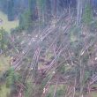 Maltempo Veneto, situazione apocalittica: diga ricoperta di alberi5