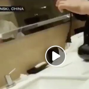 Hotel di lusso in Cina, video accusa: "Così fanno le pulizie: panni sporchi, bicchieri riciclati"