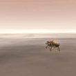 Insight, la sonda della Nasa è atterrata su Marte 04