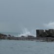 Portofino isolata, il porticciolo devastato dalla mareggiata3