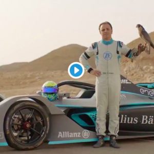 Formula E, Felipe Massa sfida il falco Pellegrino: il VIDEO mozzafiato