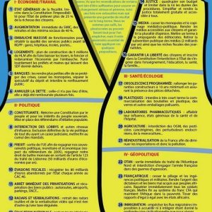 Manifesto giallo sul gilet, anzi rosso bruno: i 25 punti del popolo reazionario