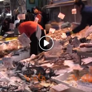 Napoli, pescherie prese d’assalto per il cenone di fine anno