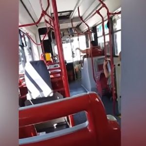 Padova, autista bus insulta straniera: "Non sono razzista ma ne ho i c… pieni di voi" VIDEO