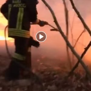 Varese, Monte Martica in fiamme: Canadair di nuovo in azione