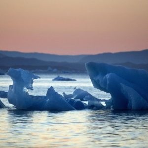 Riscaldamento globale: i ghiacciai si sciolgono e rivelano piante di 40mila anni fa