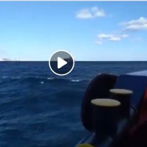 Sea Watch e Mediterranea raggiungono nave migranti a largo di