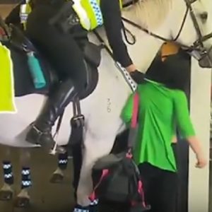 Australia pugno cavallo polizia