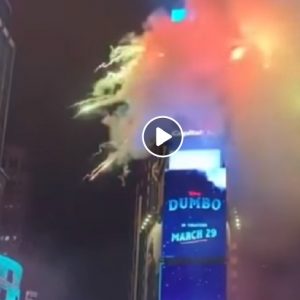 New York, Capodanno 2019 a Times Square: il countdown