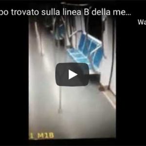 Roma, topo sulla metro B esponente Pd denuncia:"Roma è diventata il regno dei topi" VIDEO (YouTube)