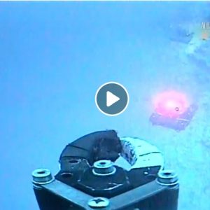 Deep Ocean Live": primo tg in onda dal fondo del mare racconta l'impatto della plastica