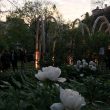 FuoriSalone, The Circular Garden: l'installazione diffusa per Eni all'Orto Botanico di Brera 4