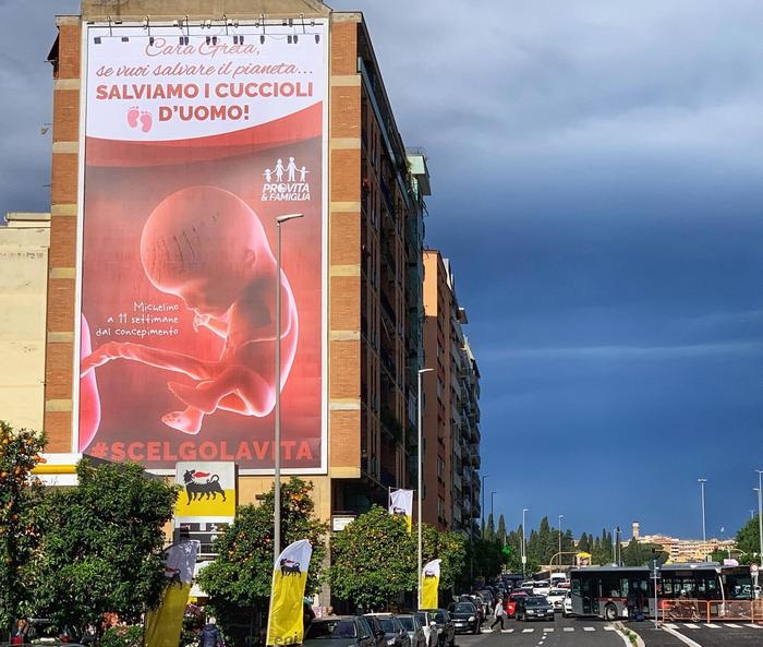 Roma, maxi manifesto anti-aborto: il più grande mai visto. "Greta, salviamo i cuccioli d'uomo"01
