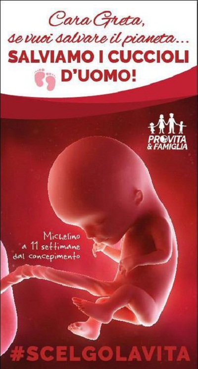 Roma, maxi manifesto anti-aborto: il più grande mai visto. "Greta, salviamo i cuccioli d'uomo"02