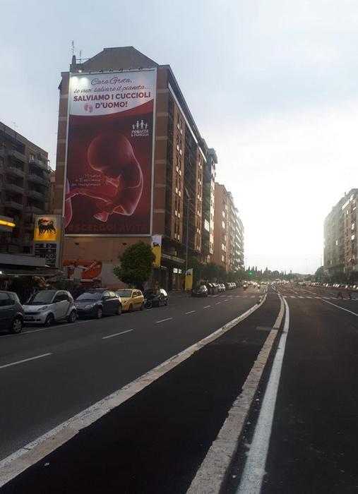 Roma, maxi manifesto anti-aborto: il più grande mai visto. "Greta, salviamo i cuccioli d'uomo"03