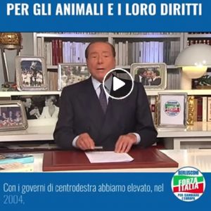 Berlusconi: “Continuerò a battermi per i diritti degli animali" VIDEO