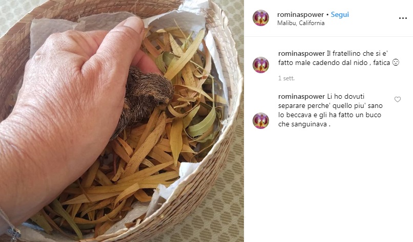 Romina Power e il saluto triste su Instagram: "Vorrei sempre portarti con me"2