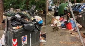 Rita Dalla Chiesa, le foto della spazzatura a Vigna Clara su Twitter: "Grazie sindaco Raggi"