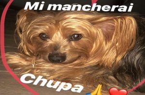 Vittorio Brumotti, è morto il suo cagnolino Chupa: "Ci mancherai" (foto Instagram)