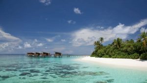 Maldive, gestire una libreria sulla spiaggia: l'offerta di lavoro da sogno. Come candidarsi