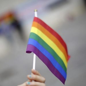 Gay come pedofili e necrofili: Fratelli d'Italia li equipara in Emilia Romagna
