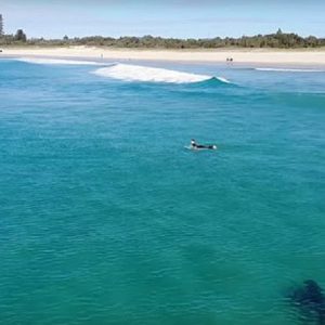 Australia, enorme squalo bianco si avvicina ai surfisti: il VIDEO del drone