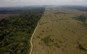 Amazzonia brucia, Bolsonaro choc: "Colpa delle Ong"