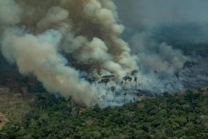 Incendi in Amazzonia