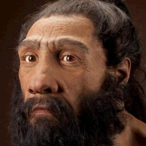 Neanderthal sapevano produrre il catrame: lo usavano come adesivo per realizzare armi e oggetti