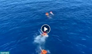 Open Arms, cinque migranti si gettano in acqua provano a raggiungere Lampedusa a nuoto VIDEO