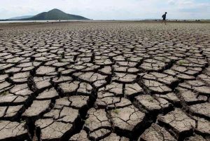Clima, gli ultimi cinque anni i "più caldi mai registrati": il report dell'ONU