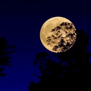 Luna Piena del Raccolto a partire dalle 19.50 del 13 settembre. La prossima sarà nel 2049