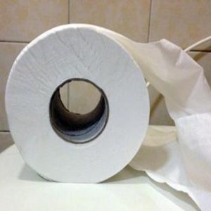 Un rotolo di carta igienica, Ansa
