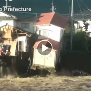 Giappone, tifone Hagibis fa una strage di almeno 30 morti. VIDEO della casa che collassa nel fiume