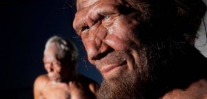 Neanderthal estinti arco frecce