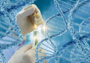 Test genetico per individuare rischio cancro e malattie cardiache: la proposta dell'azienda Usa Ancestry