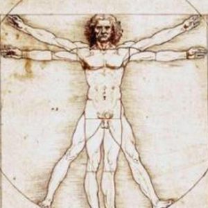 L'Uomo Vitruviano di Leonardo, Ansa