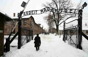 Auschwitz è diventato di parte, Bingo! Par condicio tra nazisti ed ebrei no?