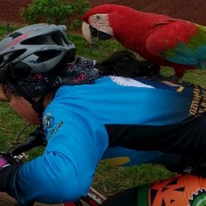 ciclista schiena pappagallo