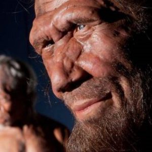 Neanderthal estinti solo per sfortuna?