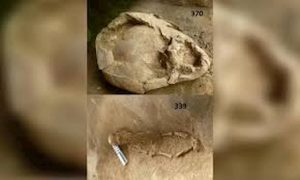 Ecuador, 2mila anni fa: bambini sepolti con elmetti di teschi di altri bambini