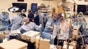 Torino, trapianto multiplo di fegato, due reni e un polmone da donatore a cuore fermo