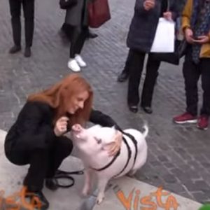 Michela Brambilla con un maiale al guinzaglio davanti alla Camera VIDEO