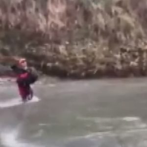 Cane scivola nel fiume, salvato dai Vigili del Fuoco VIDEO