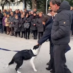 Castel di Sangro, carabiniere morto sulla Majella: al funerale anche il suo inseparabile cane