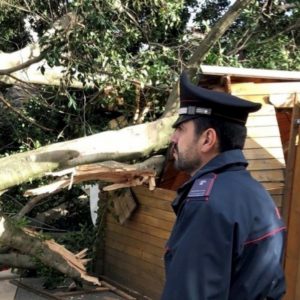 Iglesias, vento abbatte un albero sul mercatino di Natale: strage sfiorata