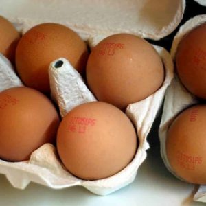 Uova e salmonella, psicosi lotti ritirati dal ministero della Salute. La risposta di Google