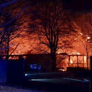 Germania, incendio nello zoo di Krefeld: almeno trenta scimmie morte